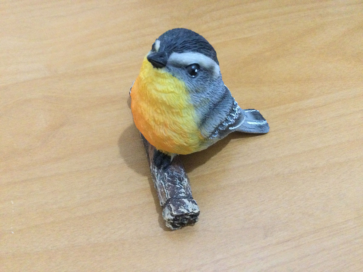 鳥所長のつぶやき