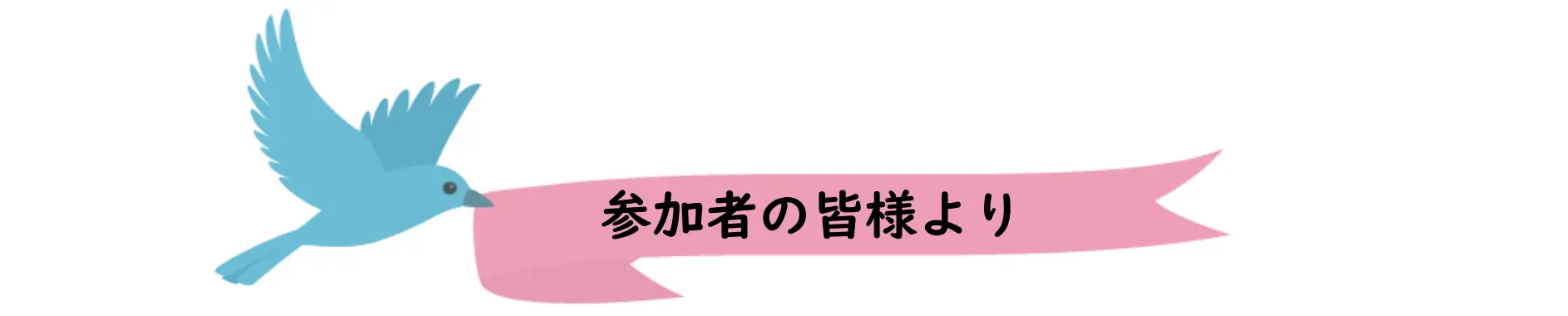 参加者の皆様より