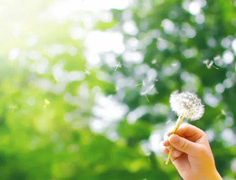 カウンセリング2カ月後｜表現力が育ってきた：カウンセリング（子どもの癇癪）