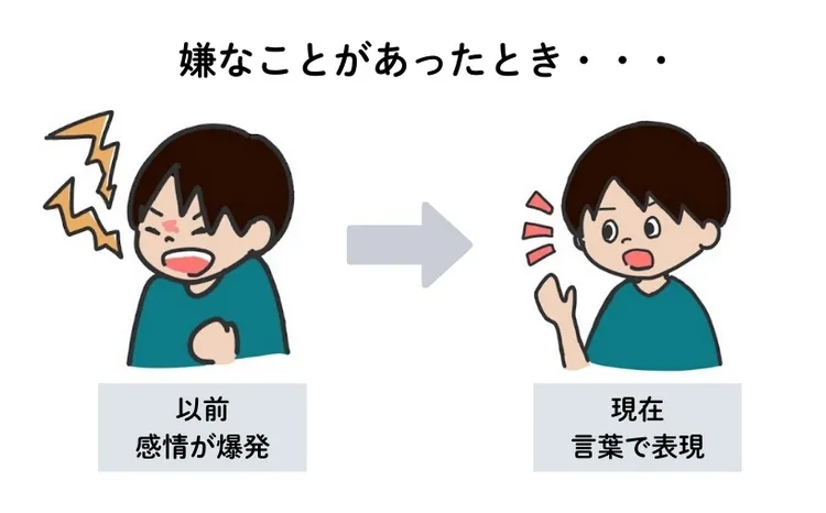 自分の考えを言葉で表現できた：カウンセリング（子どもの癇癪）