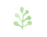 ：カウンセリング（子どもの癇癪）