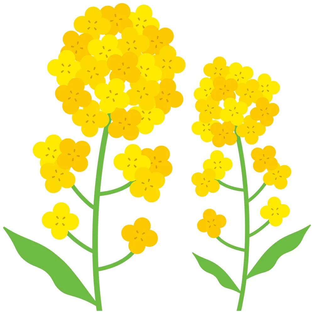 熱心にご参加くださった皆さま、本当にありがとうございました。:カウンセリング(保健室の先生)