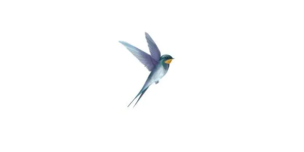 前に進んでる実感:カウンセリング(中学生の不登校)