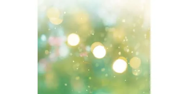 私は胸がいっぱいになりました:カウンセリング(中学生の不登校)