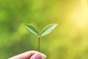 薬を使わない治療のメリット【淀屋橋心理療法センター】