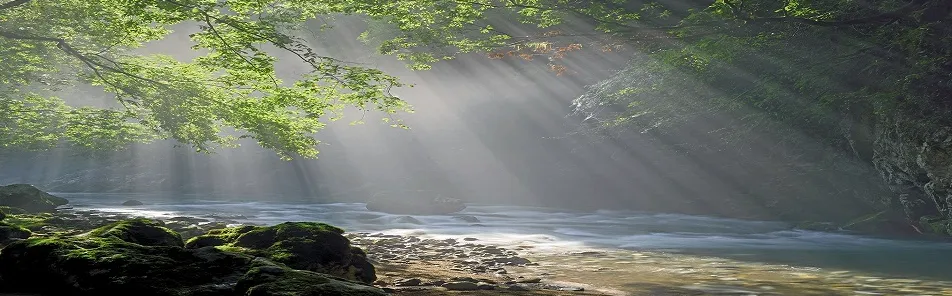 玉井心理研究室